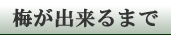 梅干が出来るまで